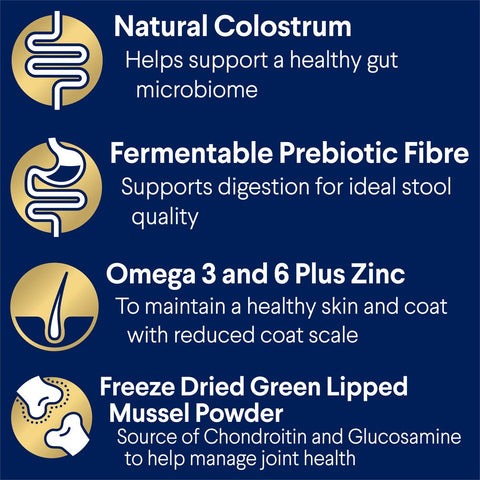 Shepherds Adult Dry Dog Food Turkey With Rice