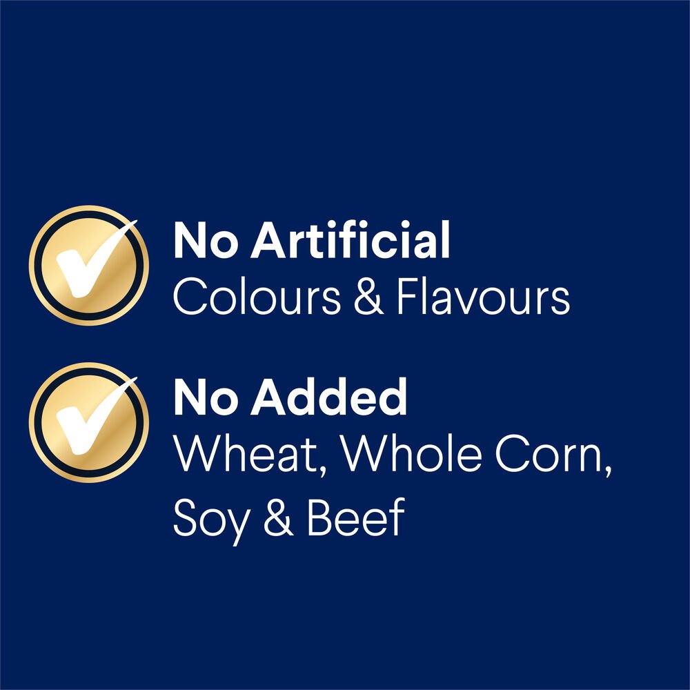 Shepherds Adult Dry Dog Food Turkey With Rice