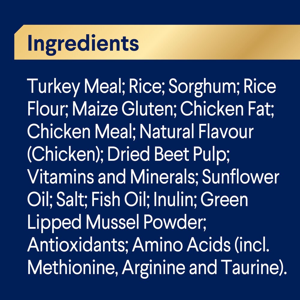 Medium Terriers Adult Dry Dog Food Turkey With Rice