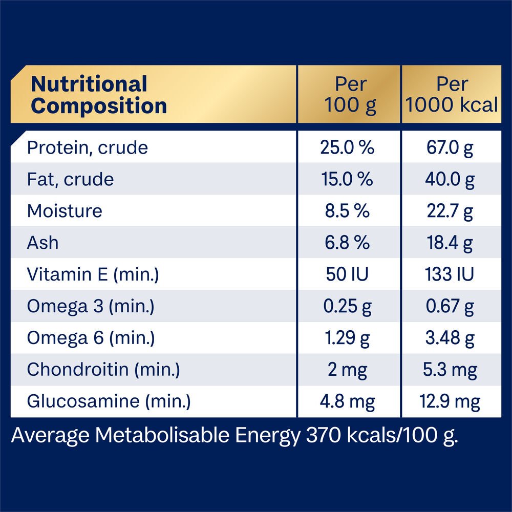 Medium Terriers Adult Dry Dog Food Turkey With Rice