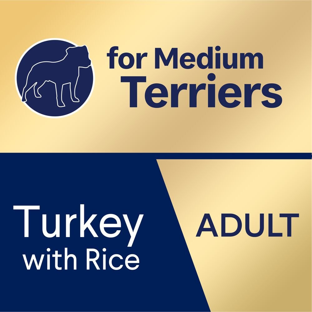 Medium Terriers Adult Dry Dog Food Turkey With Rice