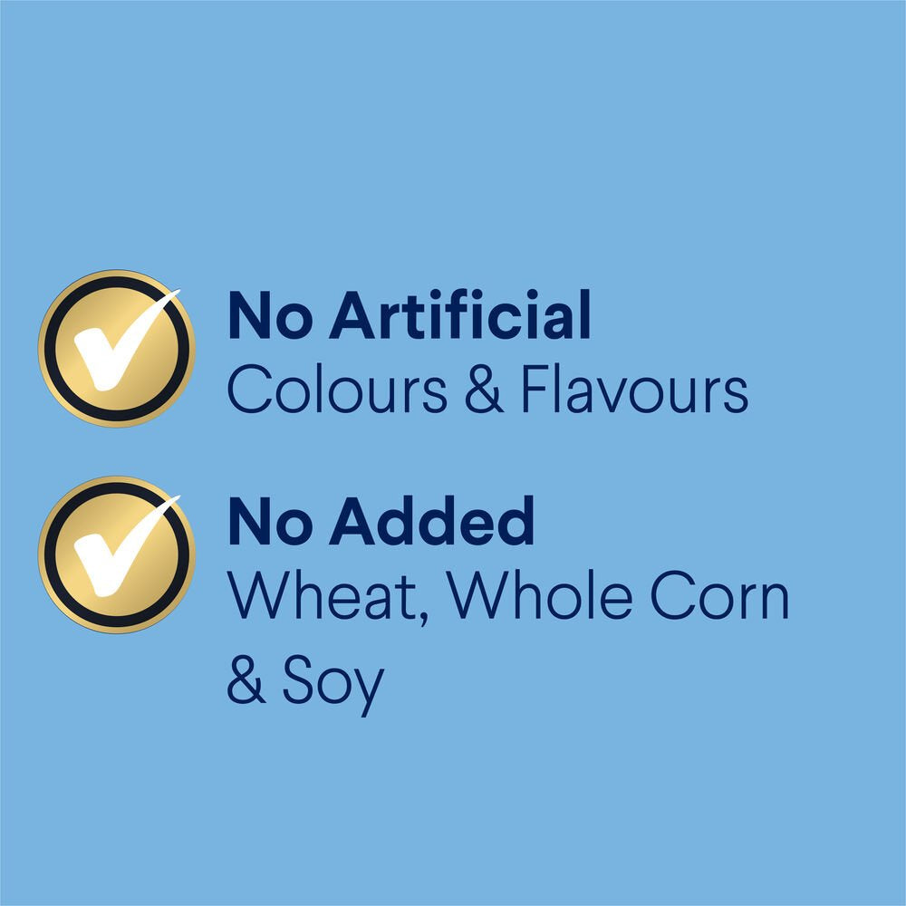 Puppy Oodles Turkey With Rice Dry Dog Food