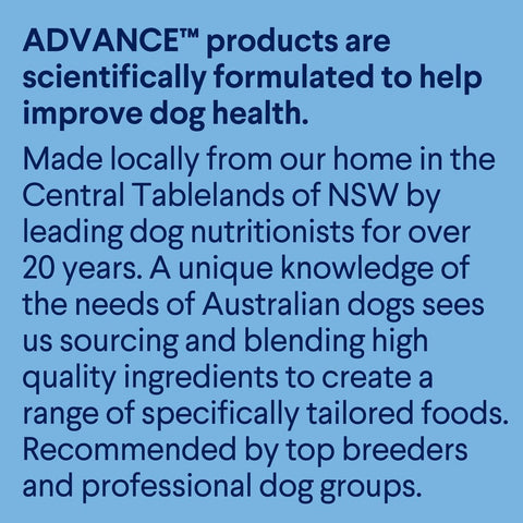 Puppy Oodles Turkey With Rice Dry Dog Food