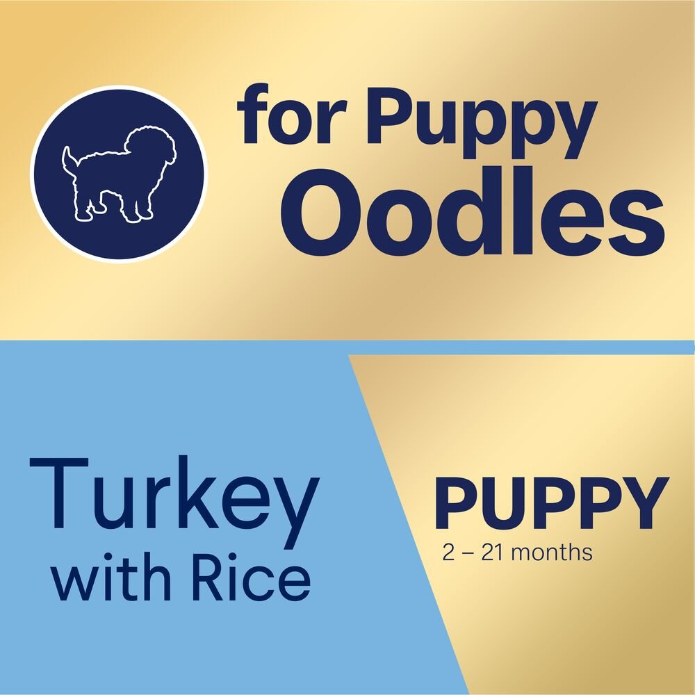 Puppy Oodles Turkey With Rice Dry Dog Food