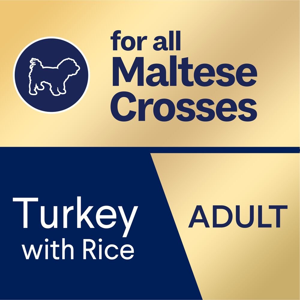Adult Maltese Cross Turkey With Rice Dry Dog Food