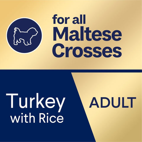 Adult Maltese Cross Turkey With Rice Dry Dog Food