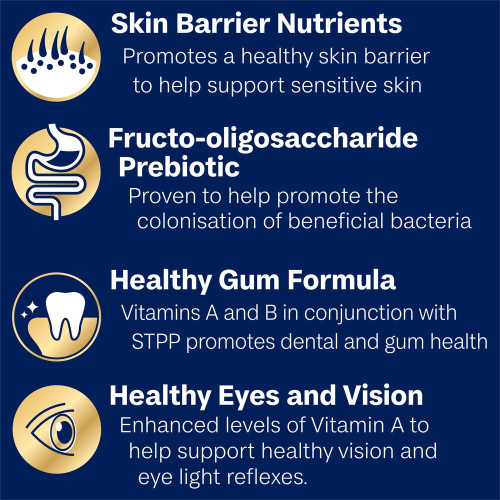 Adult Maltese Cross Turkey With Rice Dry Dog Food