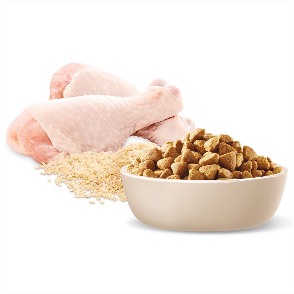 Mobility Medium Breed Chicken Dry Dog Food