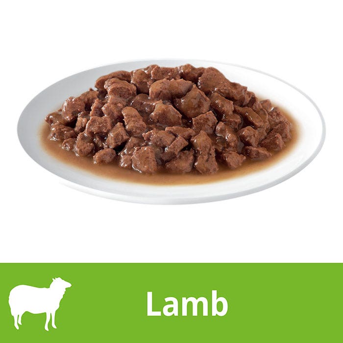 Dine Daily Variety Pack Lamb Gravy Tuna Mornay Cat Food Tray 85gx28
