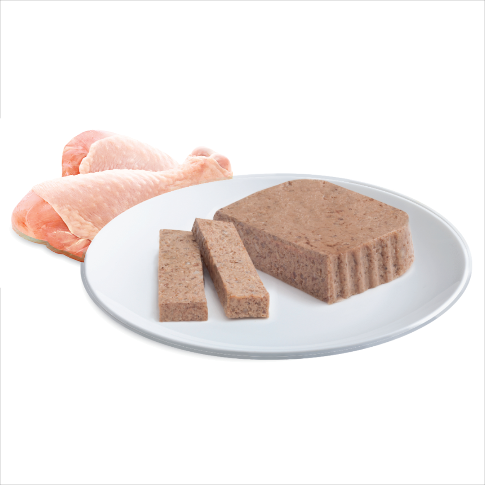 Kitten Tender Chicken Wet Cat Food Trays