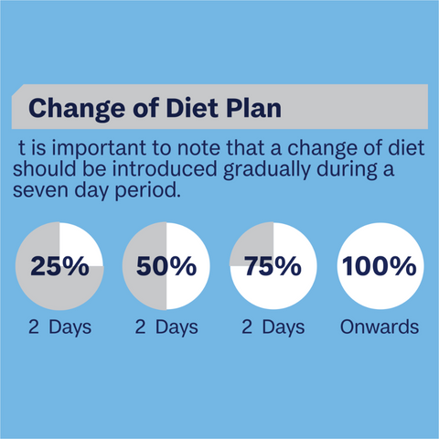 Kitten Tender Chicken Wet Cat Food Trays