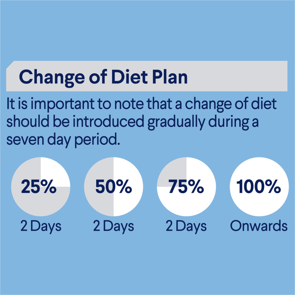 Kitten Lamb In Gravy Wet Cat Food Pouches