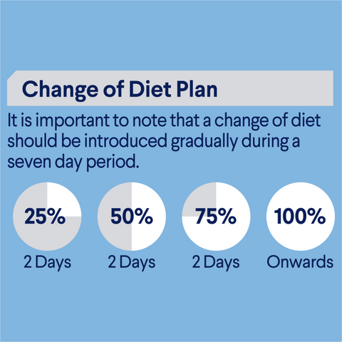 Kitten Lamb In Gravy Wet Cat Food Pouches