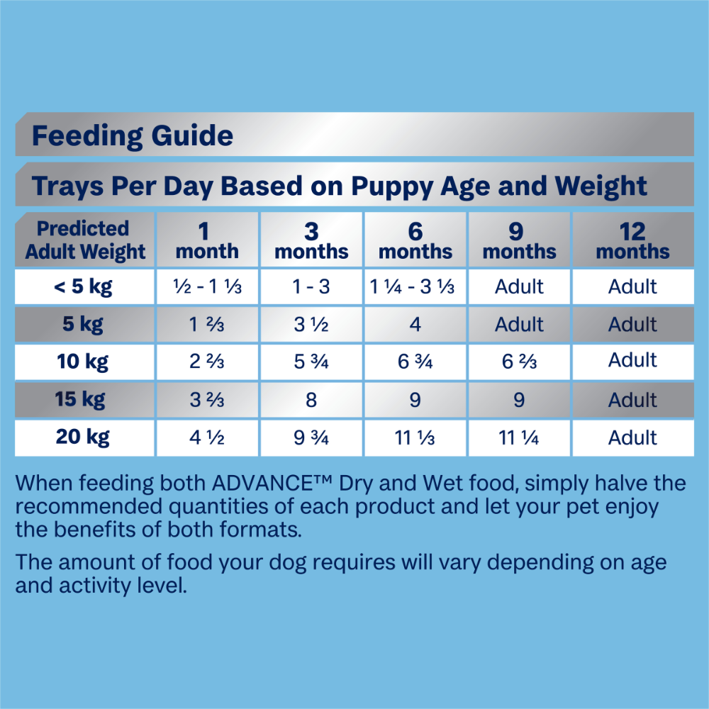 Puppy Single Serve Wet Dog Food Lamb With Rice