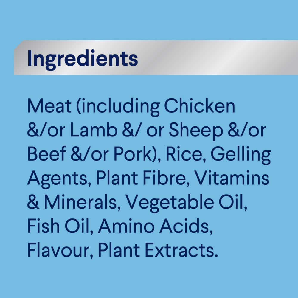 Puppy Single Serve Wet Dog Food Lamb With Rice