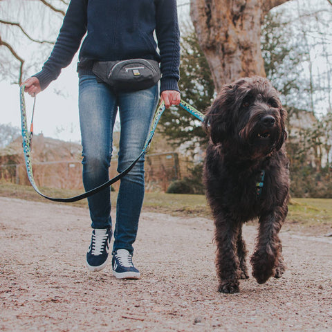 Max & Molly Waist Bag
