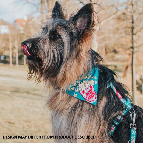 Max & Molly Bandana For Cats & Dogs
