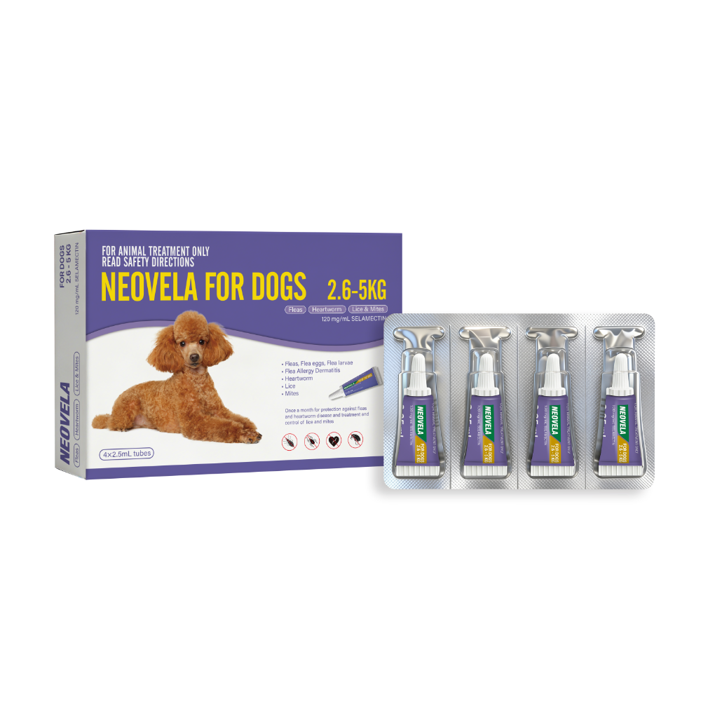 Flea And Worming For Small Dogs