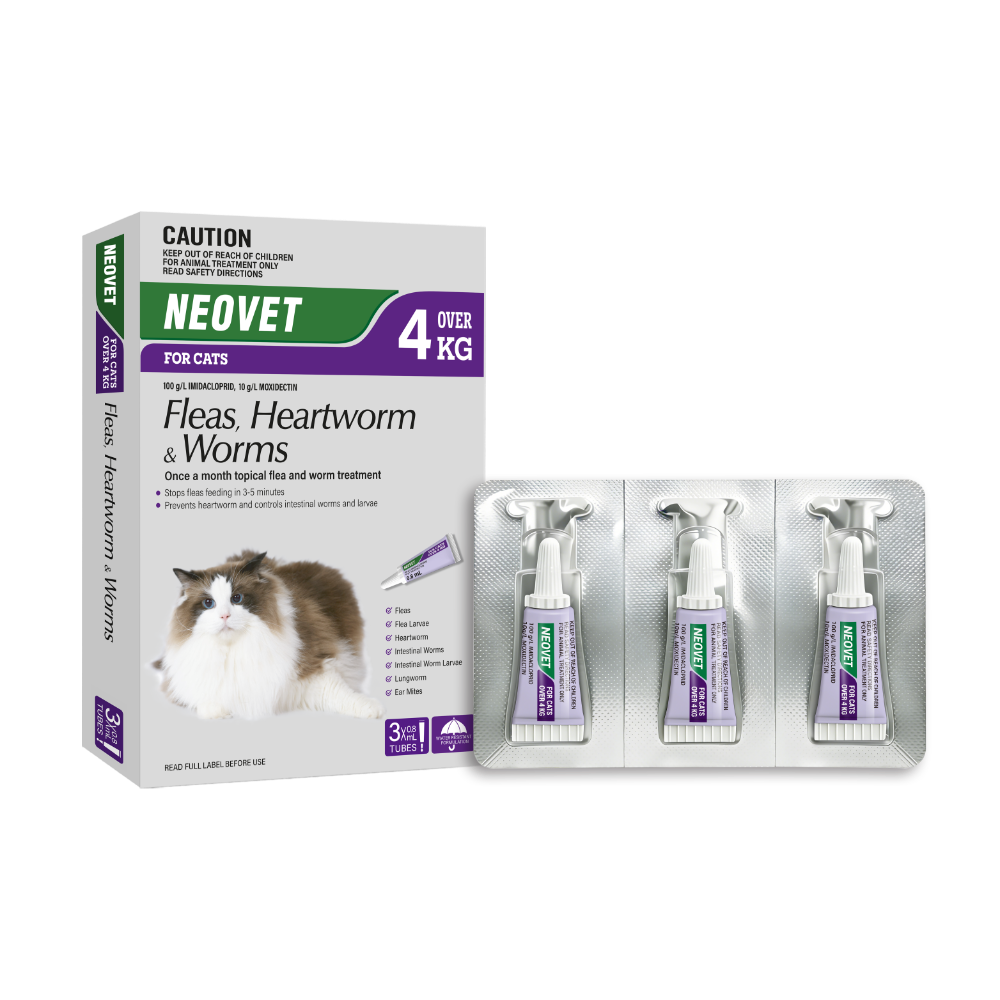 Flea And Worming For Cats