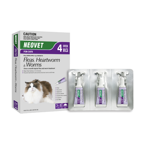 Flea And Worming For Cats