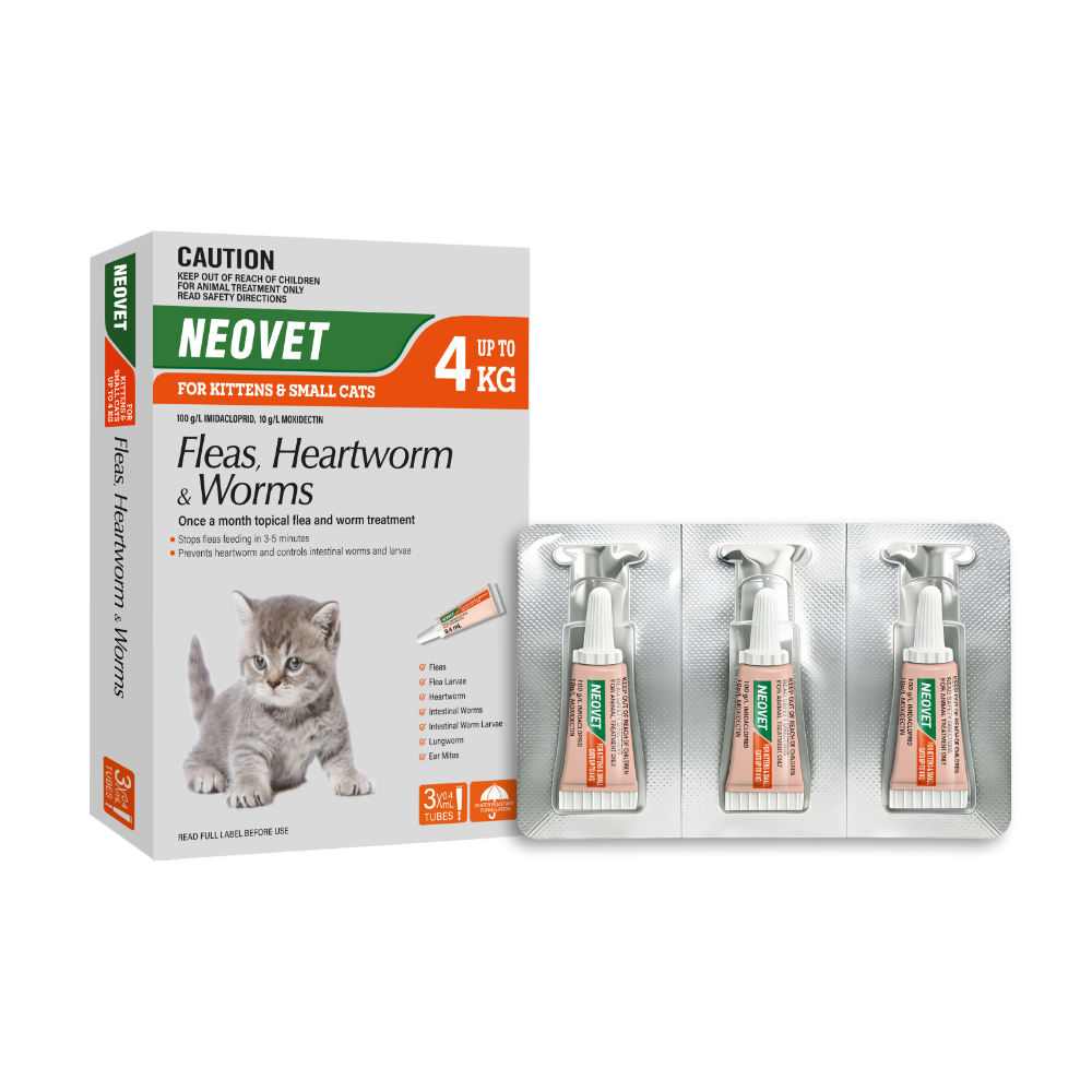 Flea And Worming For Kittens And Small Cats