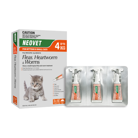 Flea And Worming For Kittens And Small Cats