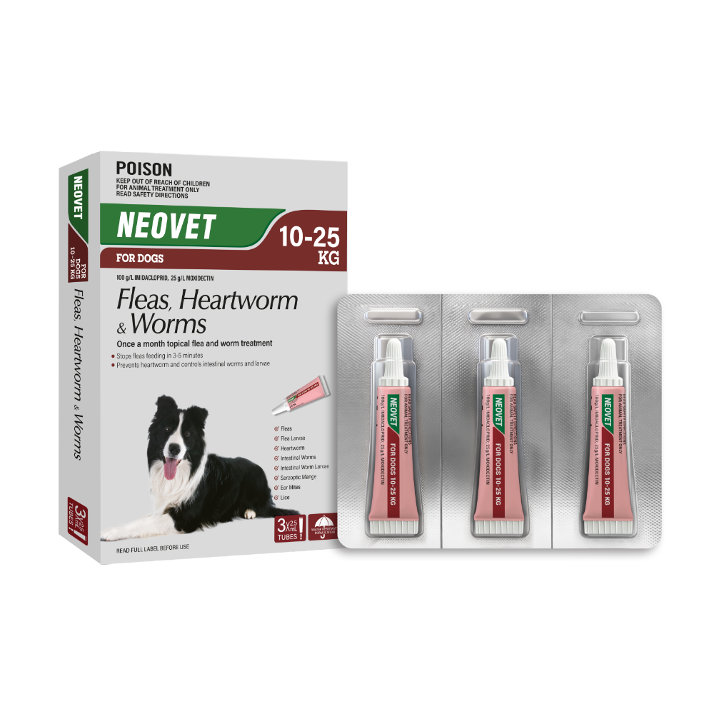 Flea And Worming For Large Dogs