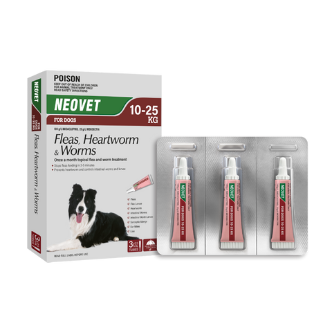 Flea And Worming For Large Dogs