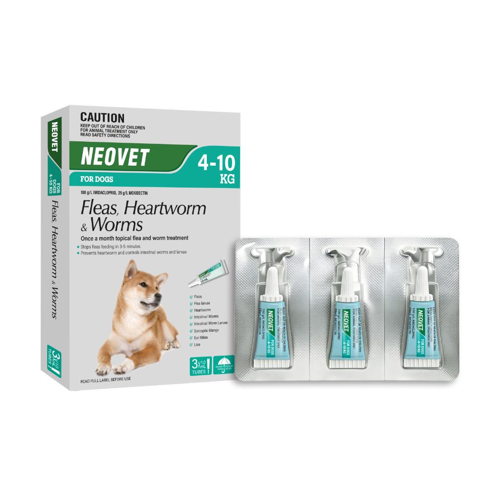 Flea & Worm Spot-On For Medium Dogs