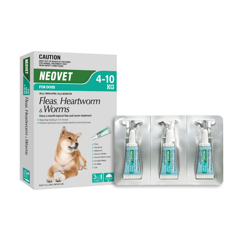 Flea & Worm Spot-On For Medium Dogs