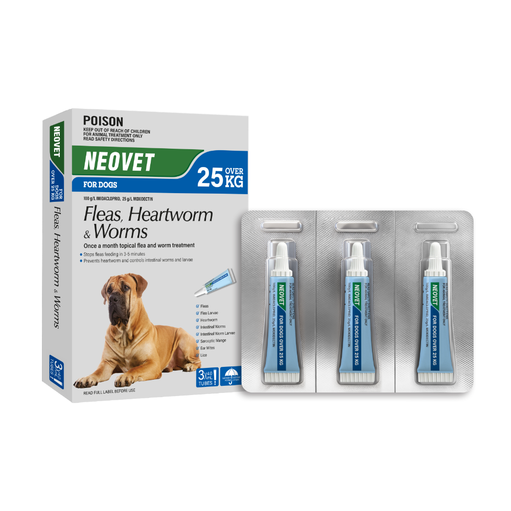 Flea And Worming For Extra Large Dogs