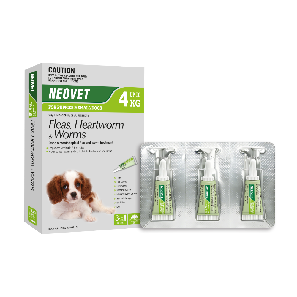 Flea & Worm Spot-On For Puppies & Small Dogs