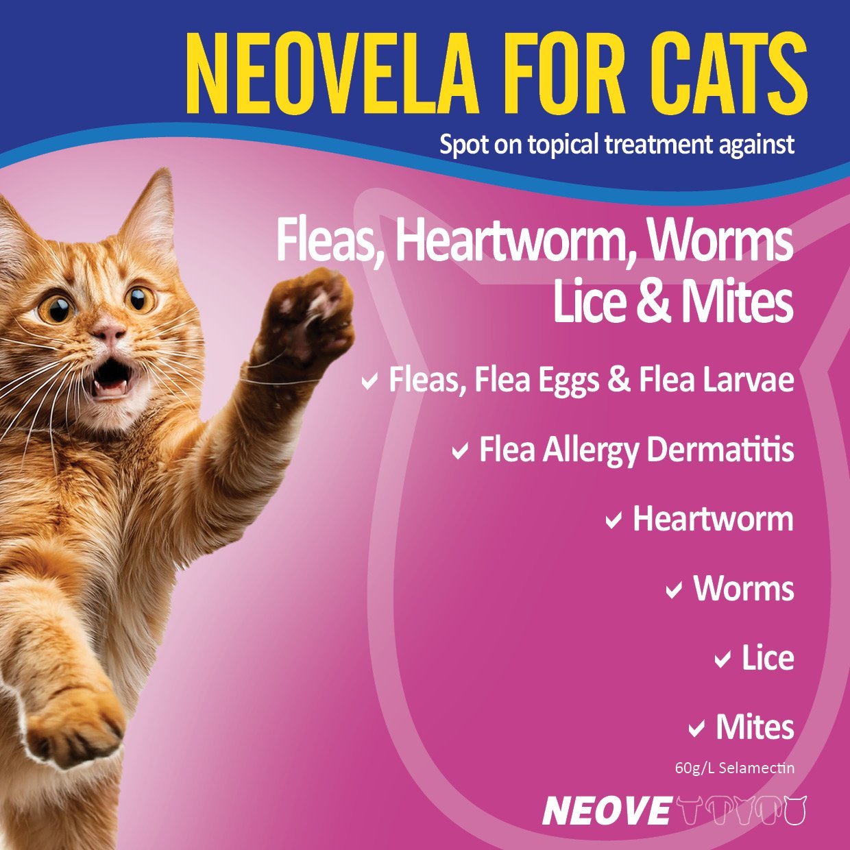Flea & Worming Spot-On For Cats