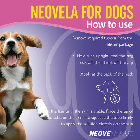 Flea And Worming For Medium Dogs