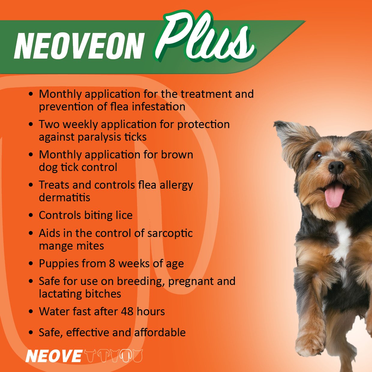 Flea & Tick Spot-On For Large Dogs