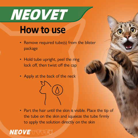 Flea And Worming For Kittens And Small Cats