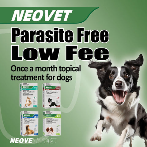 Flea & Worm Spot-On For Puppies & Small Dogs