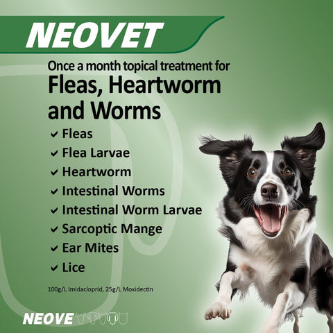 Flea And Worming For Large Dogs