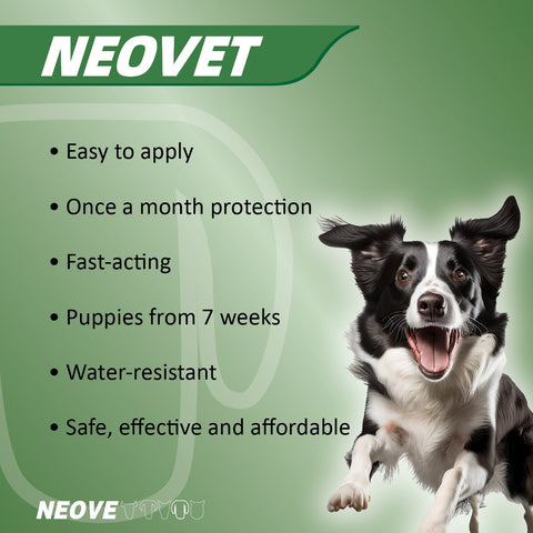 Flea And Worming For Large Dogs