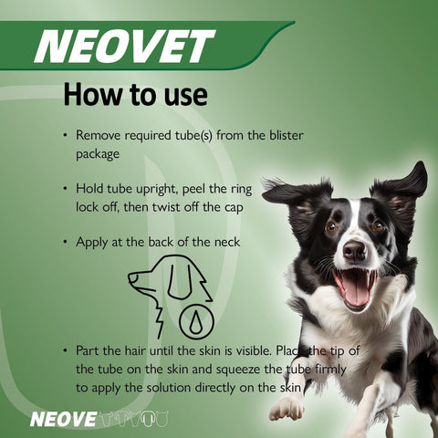 Flea & Worm Spot-On For Puppies & Small Dogs
