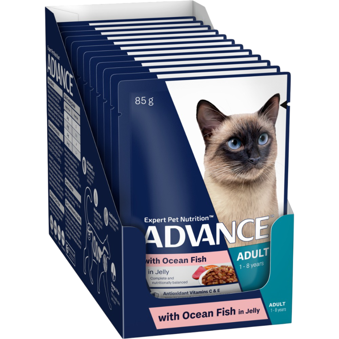 Adult Ocean Fish In Jelly Wet Cat Food Pouches