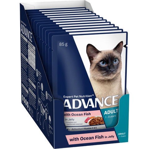 Adult Ocean Fish In Jelly Wet Cat Food Pouches