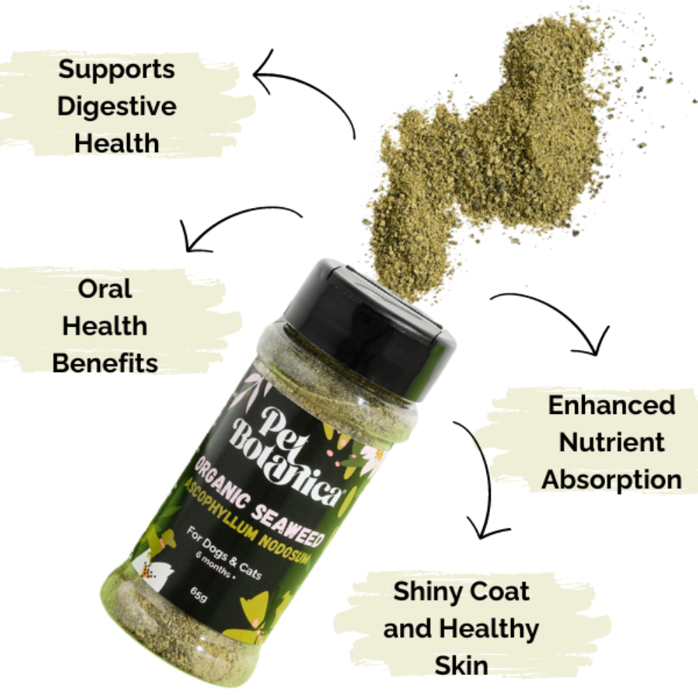 Organic Seaweed Dental Meal Booster For Dogs & Cats