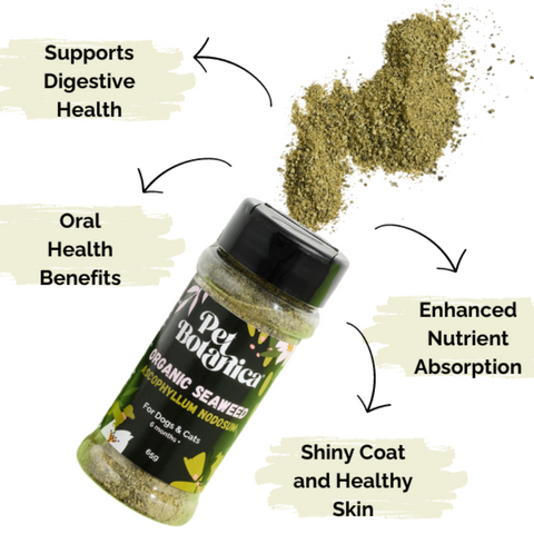 Organic Seaweed Dental Meal Booster For Dogs & Cats