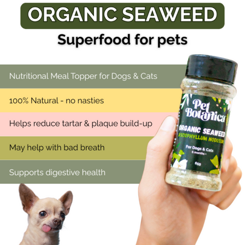 Organic Seaweed Dental Meal Booster For Dogs & Cats