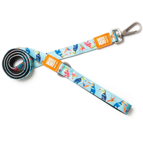 Max & Molly Dog Leash - Paradise