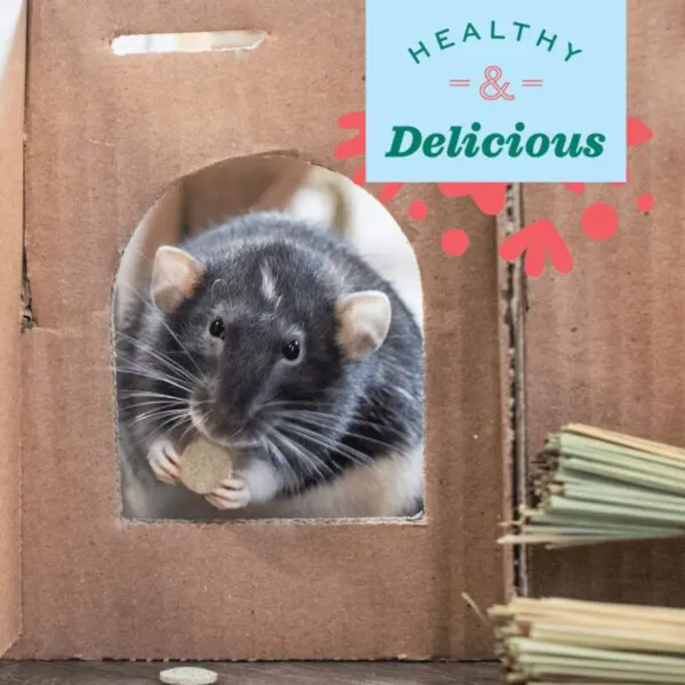 Natural Science Papaya Support Small Animal Supplement Treats