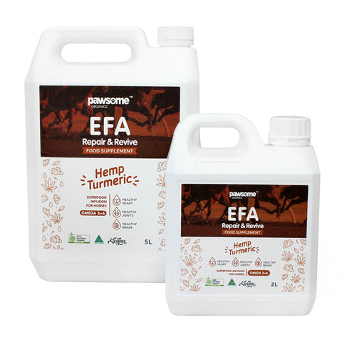Pawsome Organics EFA Repair & Revive Hemp & Turmeric Oil for Horses