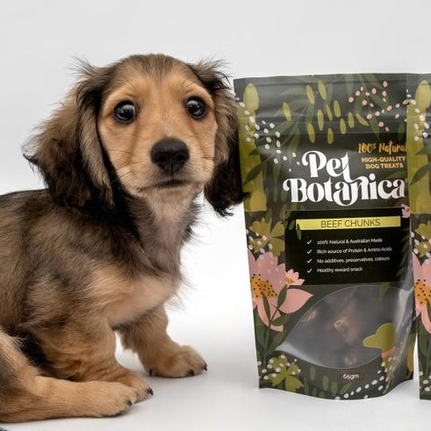Pet Botancia Beef Lung Chunks Dog Treats 65g
