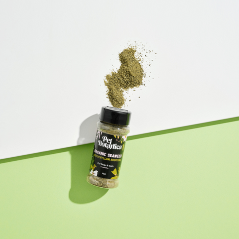 Organic Seaweed Dental Meal Booster For Dogs & Cats